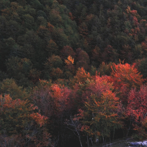 Taur-Im-Duinath : Vento Autunnale